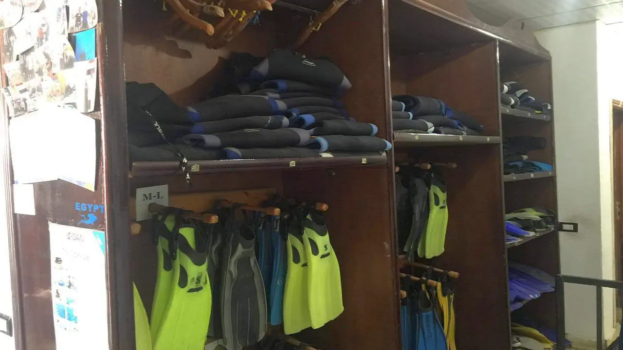 الفندق دايف ان ريزورت - شرم الشيخ